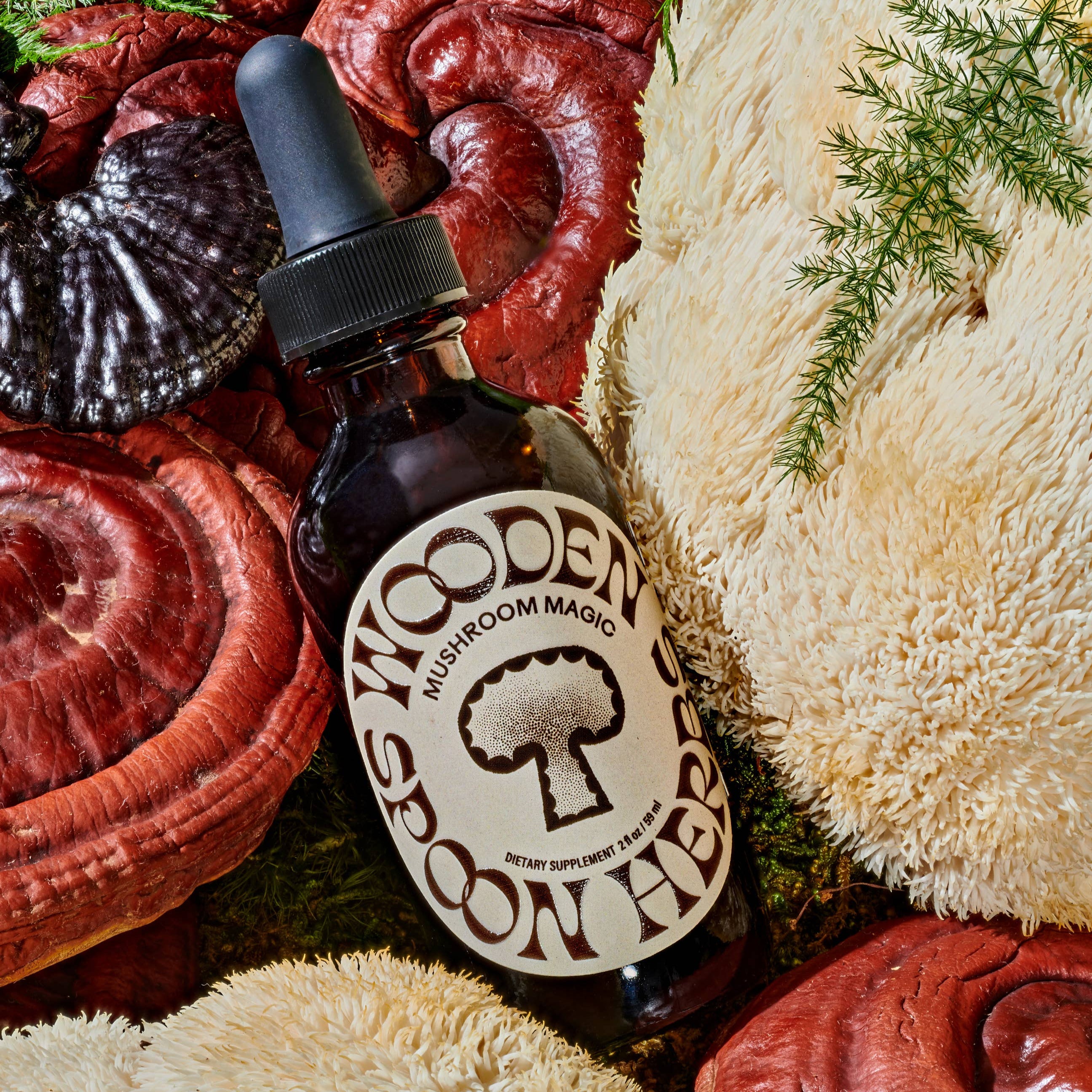 Mushroom Magic