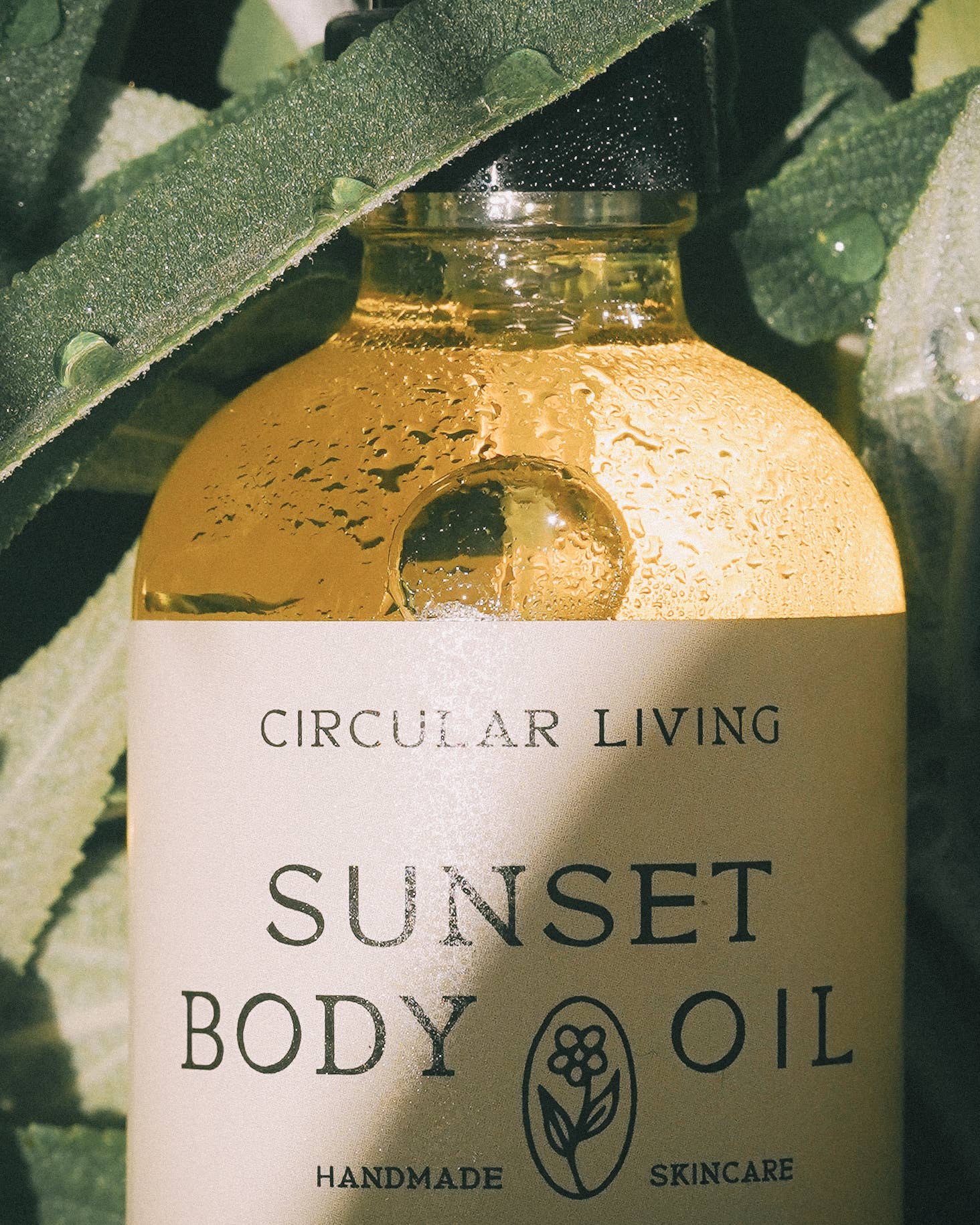 Bottle of Circular Living Sunset Body Oil with green leaves in the background
