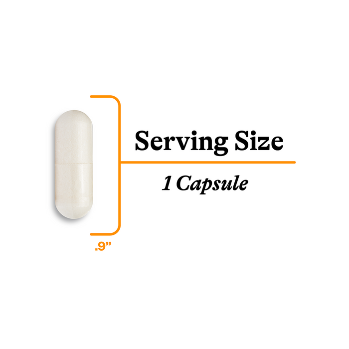 Acetyl L-Carnitine 500mg