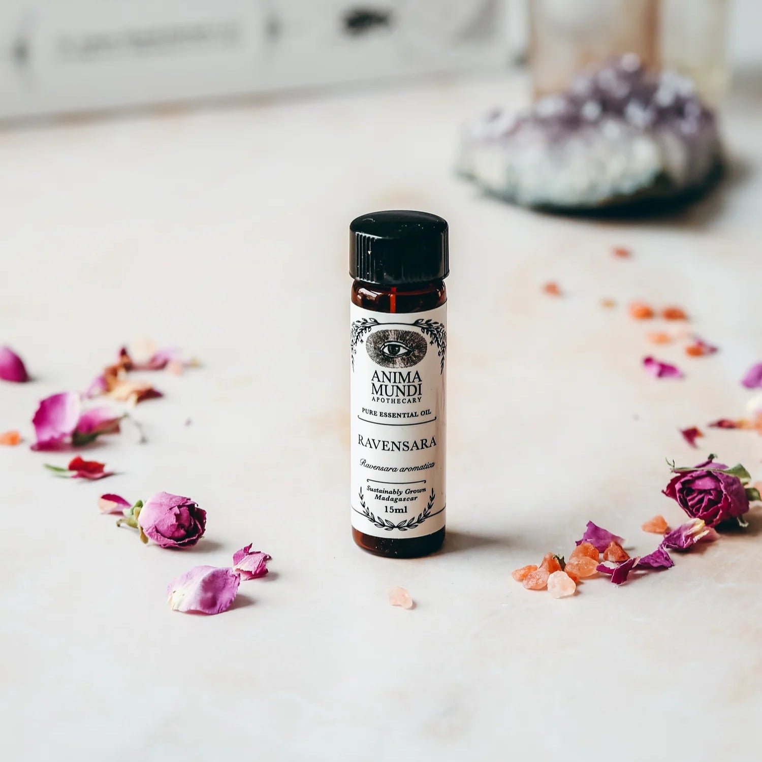 Ravensara Essential Oil | Sustainably Cultivated