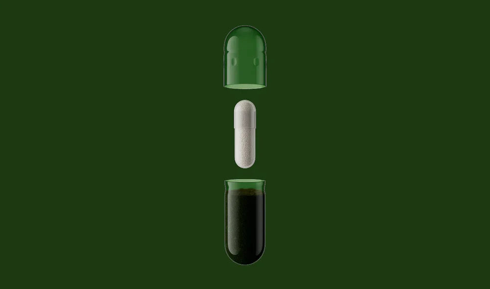Seed Daily Synbiotic