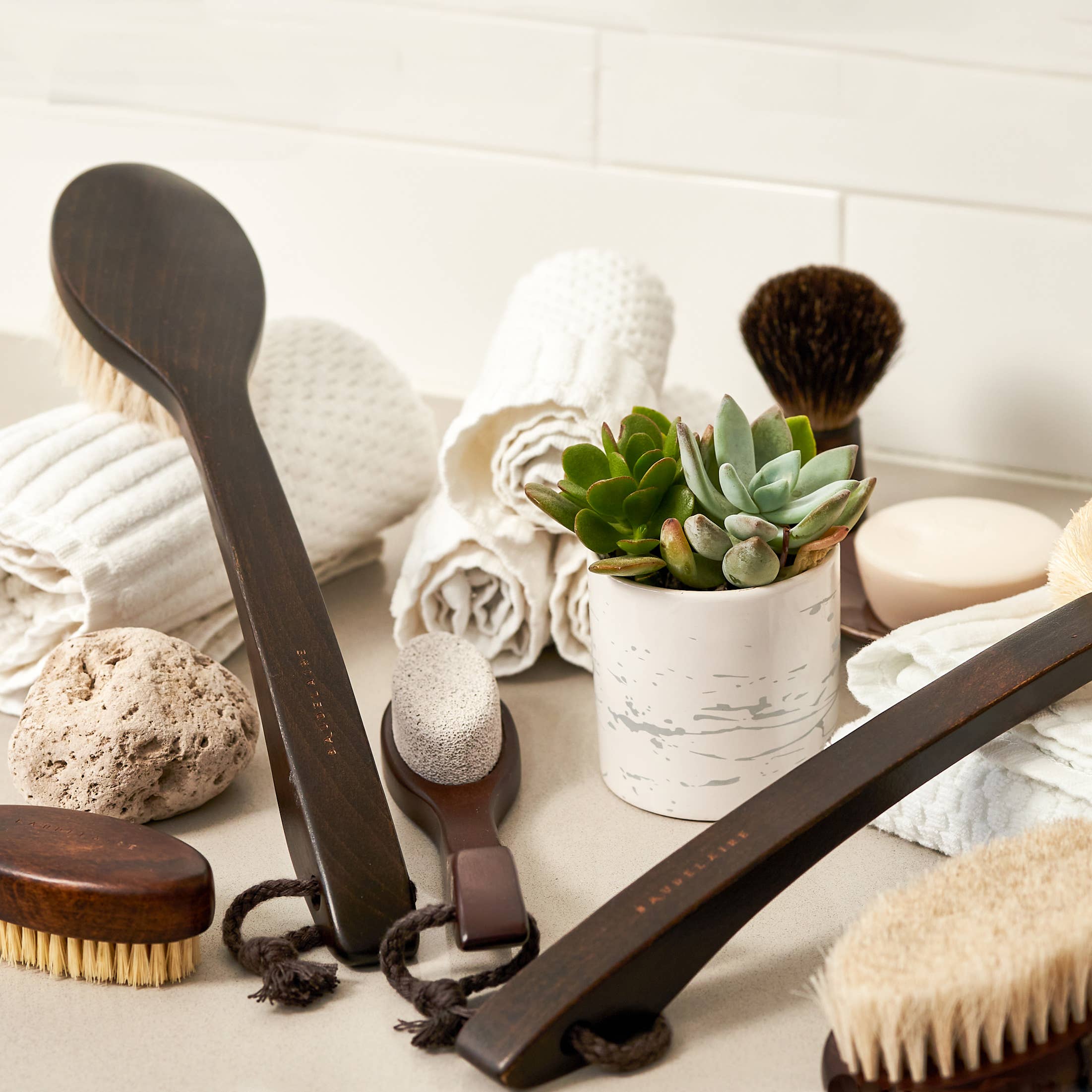 Set of natural skincare tools including brushes and a plant on a white surface.