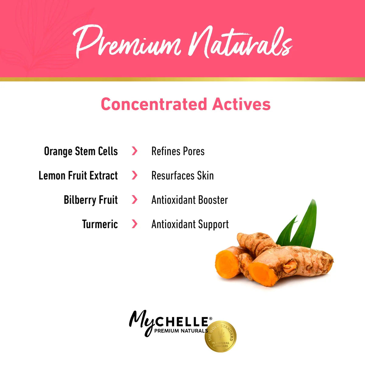 Fruit Enzyme Cleanser