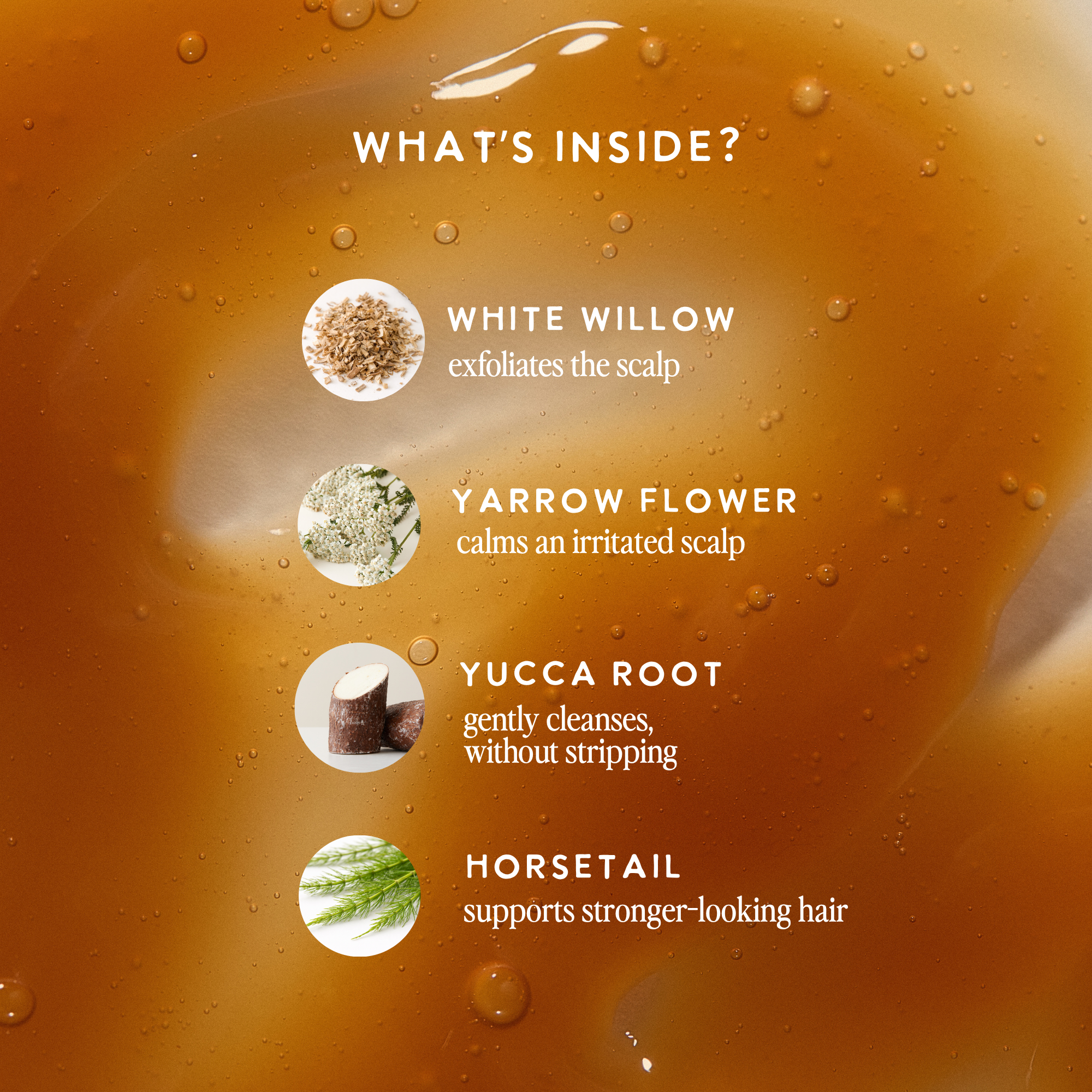 Warrior Shampoo for Oily Scalp
