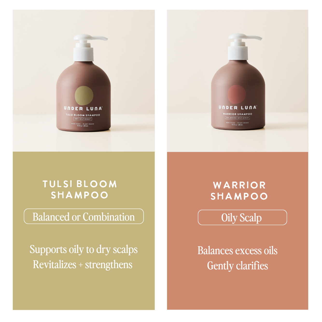 Warrior Shampoo for Oily Scalp