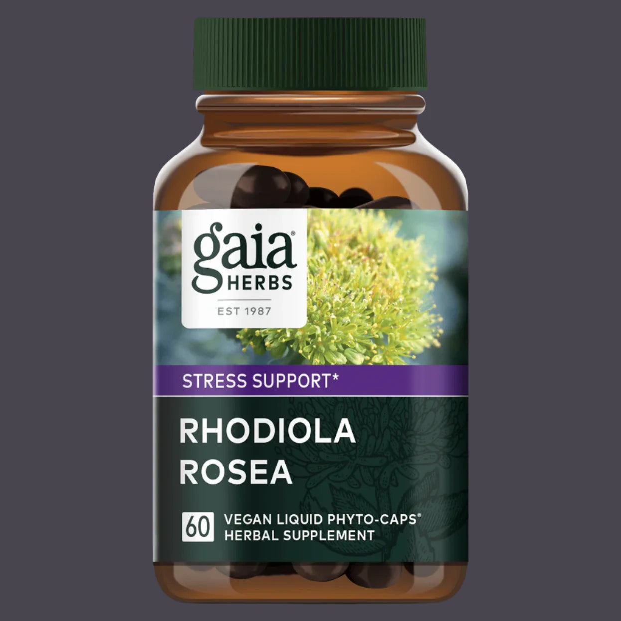 Rhodiola Rosea