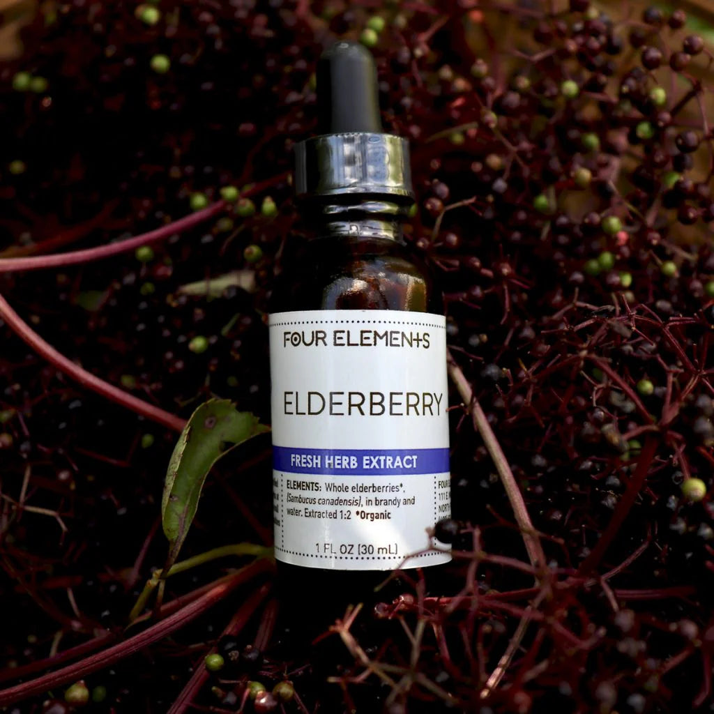 Elderberry Extract